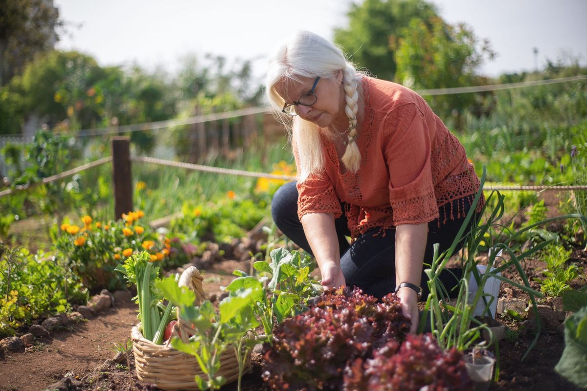 An older woman picking vegetables in her own garden